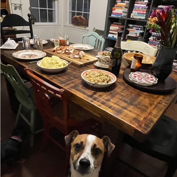 Meet your Posher, Jessie - Picture 5 of 7